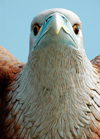 Eagle Square - detail, Dataran Lang, Langkawi, Malaysia, photo by B.Lendrum