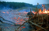 Fire deforestation - ashes of the rain forest, Sarawak, Malaysia. photo by B.Lendrum