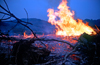 Fire deforestation to clear land for farming, Sarawak, Malaysia. photo by B.Lendrum