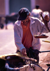 Morocco / Maroc - Tinerhir: selling grapes (photo by F.Rigaud)