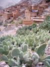 Morocco / Maroc - Tizi Aguersioual (Marrakesh Tensift-Al Haouz region): the village and the cactus - Imlil valley - photo by J.Kaman