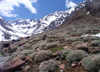 Morocco / Maroc - Atlas mountains: landscape - photo by J.Kaman