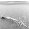 Morocco - Merzouga: the simplicity of the desert - photo by M.Ricci