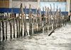 Panama - comarca Kuna Yala - San Blas Islands: traditional fence - photo by A.Walkinshaw