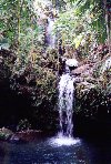 Puerto Rico - El Yunque: cascatas de Atalaya (photo by M.Torres)