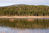 Slovenia - Pivka Valley: Palsko lake - forest and beach - photo by I.Middleton