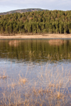 Slovenia - Pivka Valley: forest reflected in Palsko lake - photo by I.Middleton