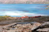 South Georgia Island - Husvik - from the mountains - Antarctic region images by C.Breschi