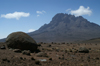 61 Tanzania - Kilimanjaro NP: Marangu Route - day 4 - Mount Kilimanjaro, the Mawenzi peak seen from the Saddle - photo by A.Ferrari