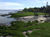 Uruguay - Colonia del Sacramento - The coast - photo by M.Bergsma