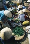 At the market  (photo by Joe Filshie)